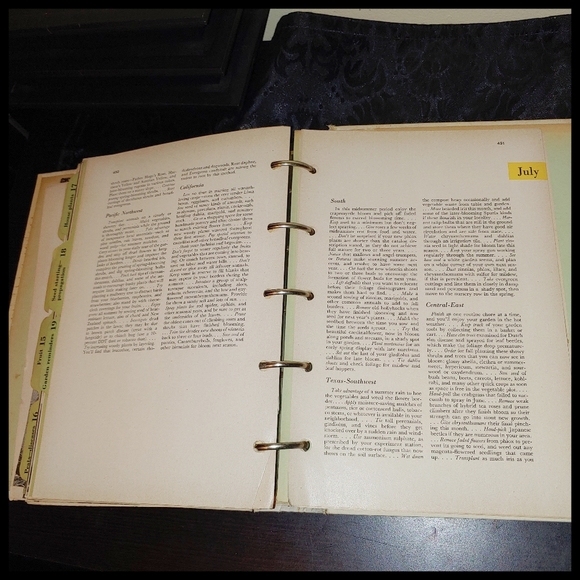 1951 Better Homes and Garden Garden Book - Picture 11 of 16